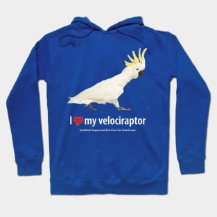 love velociraptor (1) Hoodie